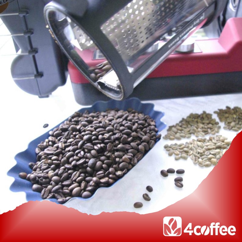 Pražička Gene Cafe CBR 101 - až na 300 g nepražené kávy - Obrázek 6