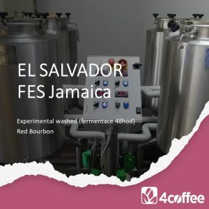 El Salvador FES Jamaica