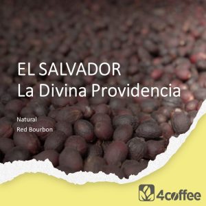 Salvador - La Divina Providencia - mikrolot