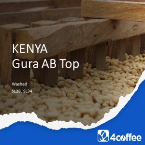 Kenya Gura AB Top