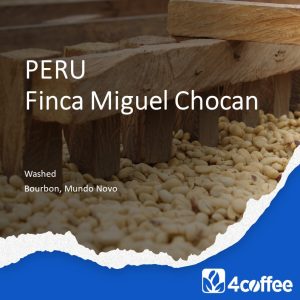 Peru Gr.1 – Finca Miguel Chocan