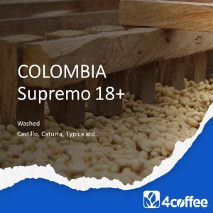 Colombia Supremo 18+