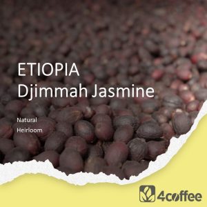 Etiopie Jimma