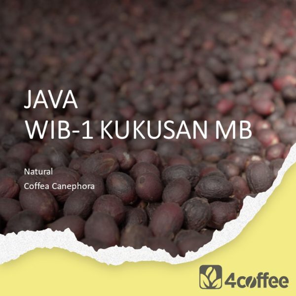 Indonesia Java WIB-1 medium bean