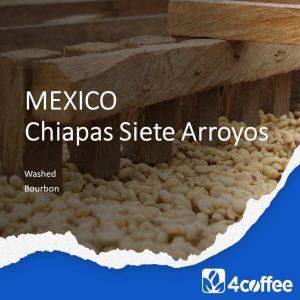 Mexico Chiapas Siete Arroyos - nepražená káva