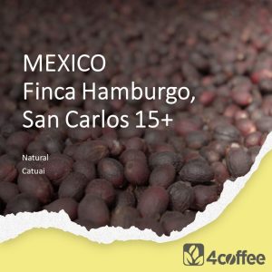 Mexico finca Hamburgo San Carlos