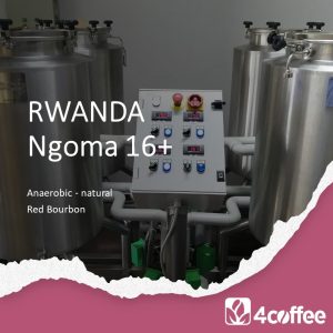 Rwanda Ngoma anaerobic natural