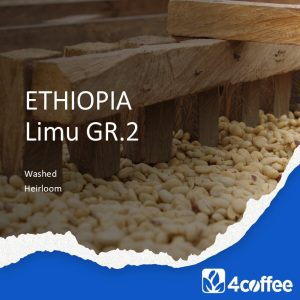 ETHIOPIA – Limu GR.2