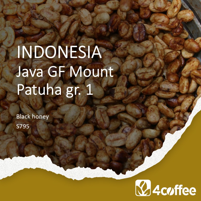 INDONESIA - Java GF Mount Patuha gr.1