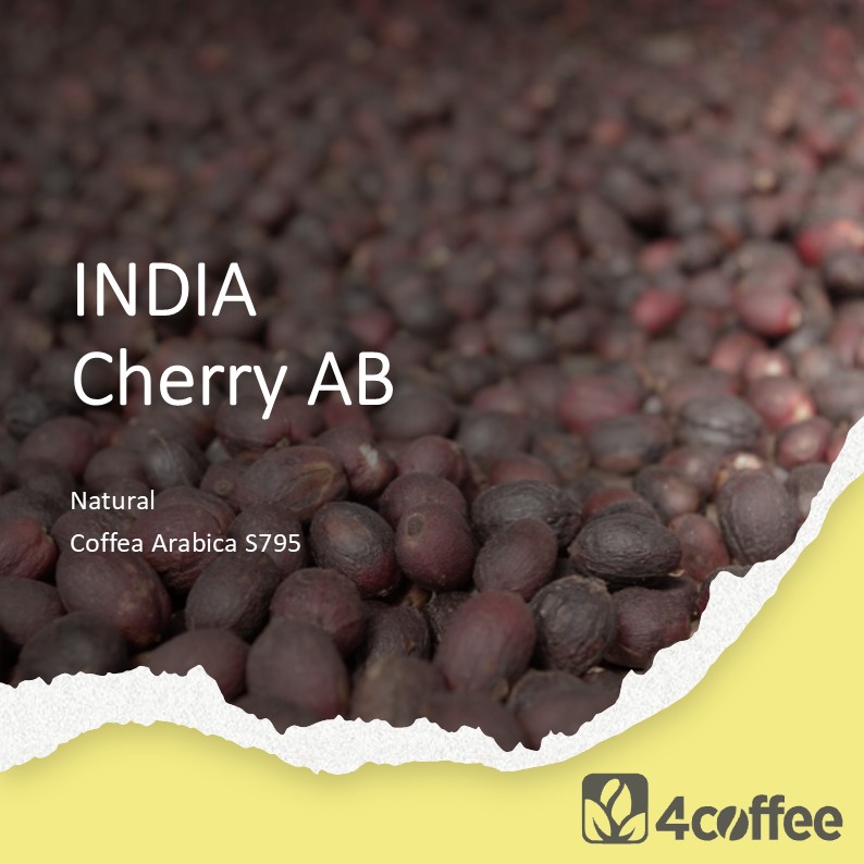 INDIA – Cherry AB