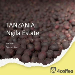 Tanzania Ngila Estate - NATURAL