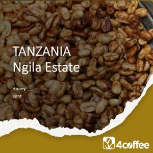 TANZANIA - Ngila Estate - honey